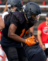Normandy vs Firelands20230805-9429