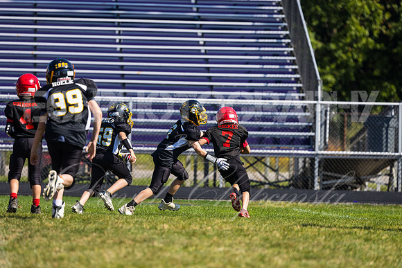 Jr. Cardinals vs Jr. Pirates20230923-7727