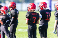 Jr. Cardinals vs Jr. Wildcats20230930-0521