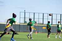 FF (11 of 223)
