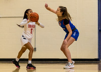 ODCS1209 (19 of 241)