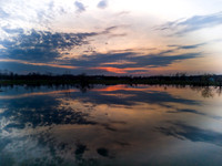 DJI_20240313192935_0037_D