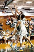 Amherst vs Elyria Catholic20211228-2372